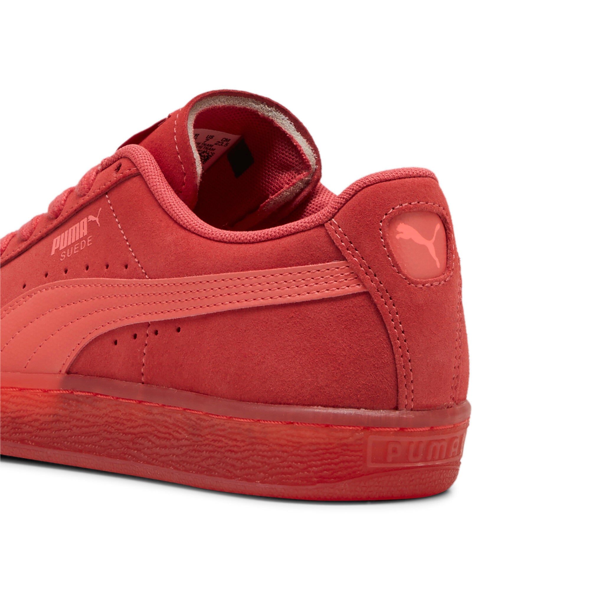 SUEDE CLASSICS TRANSLUCENT - 398818