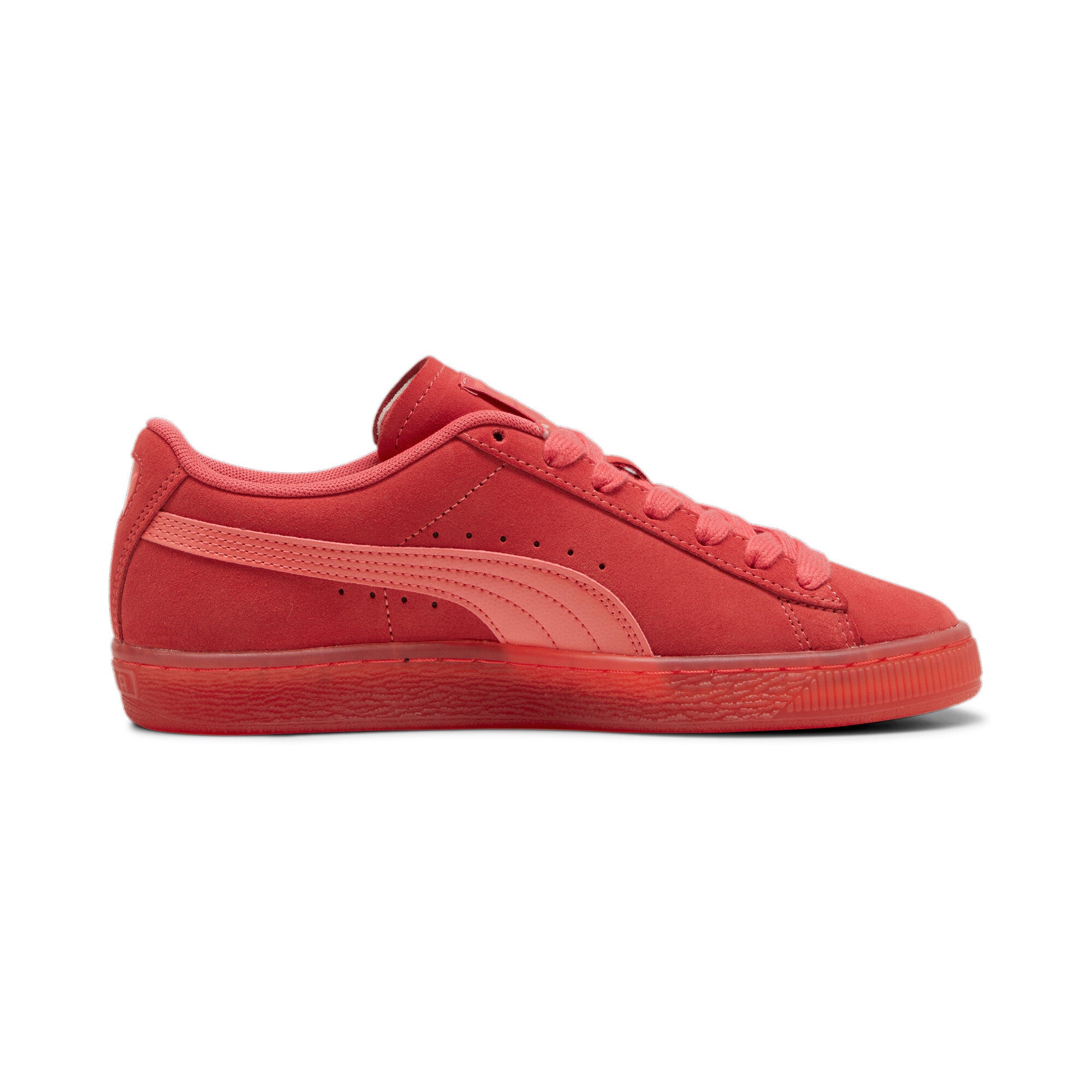 SUEDE CLASSICS TRANSLUCENT - 398818