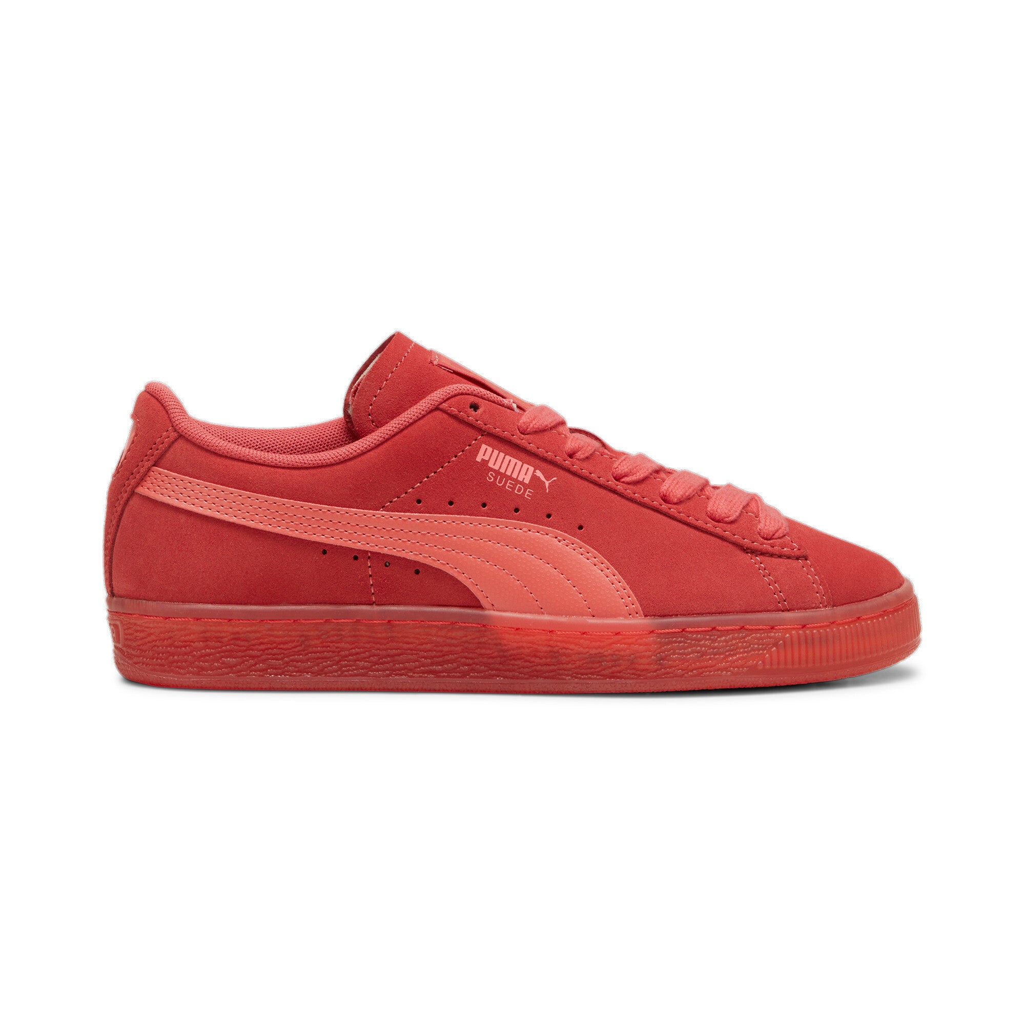 SUEDE CLASSICS TRANSLUCENT - 398818