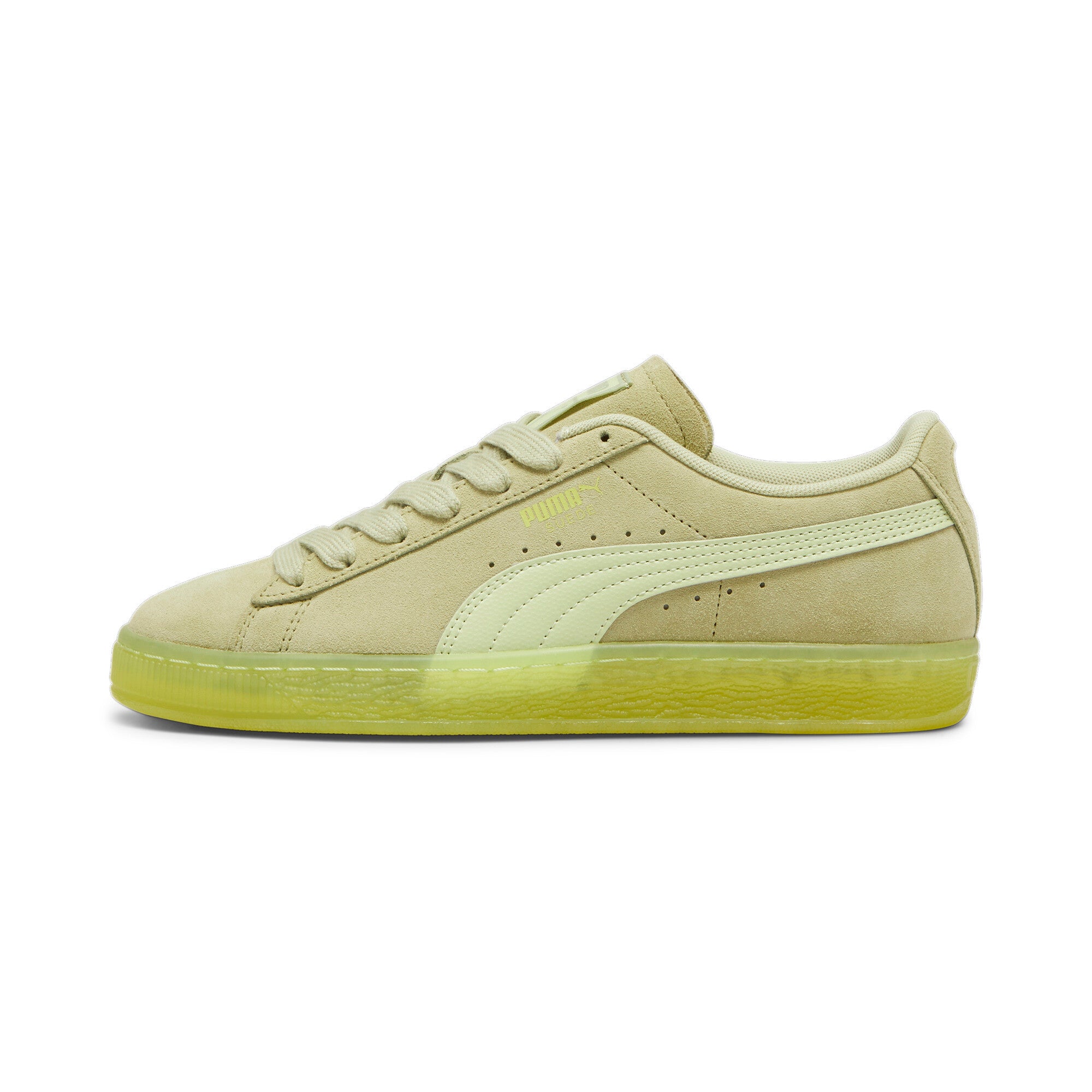 SUEDE CLASSICS TRANSLUCENT - 398818