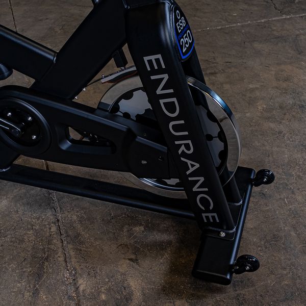 ESB250 Endurance Commercial Indoor Exercise Bike - ESB250
