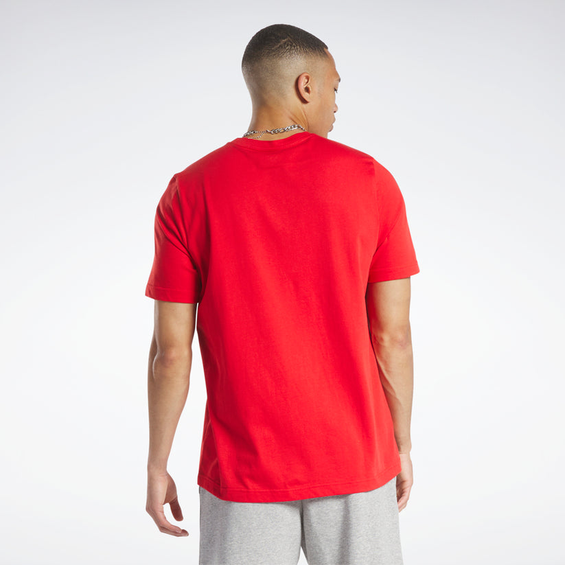 MENS GRAPHIC SERIES FADE TEE - HS4883