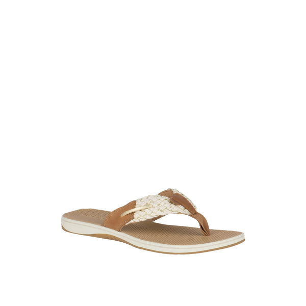 PARROTFISH - 13934174